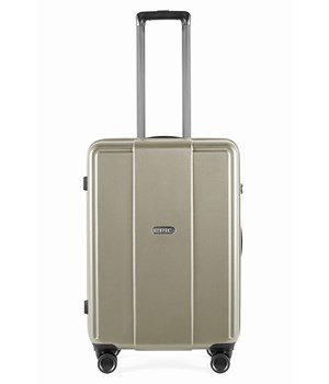 65 cm trolley 4w_CAVA